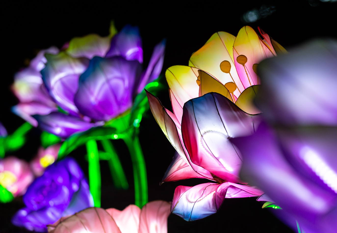 Fotos: Festival de Navidad en Manchester