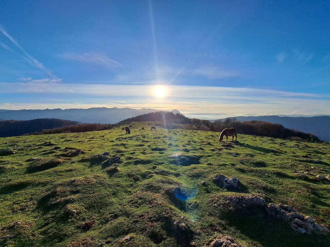 Fotosdel Monte Ulizar