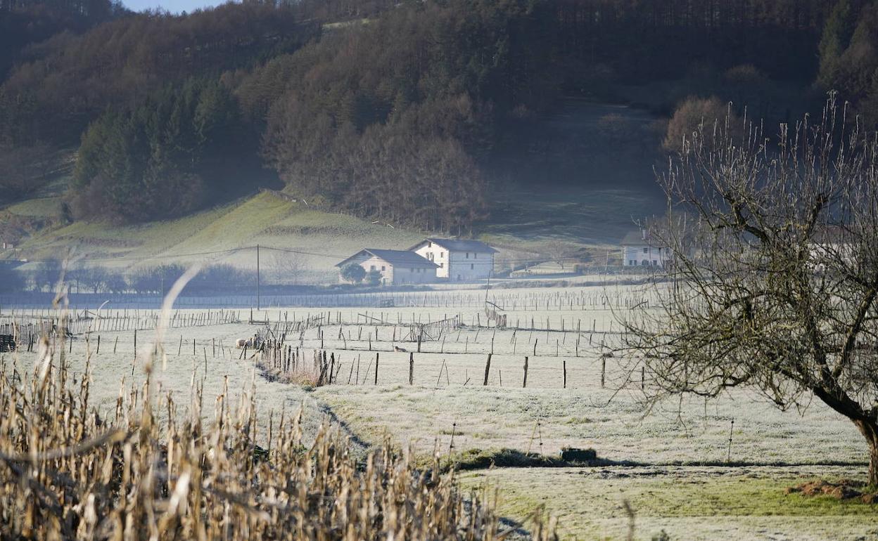 Helada en Berastegi. 