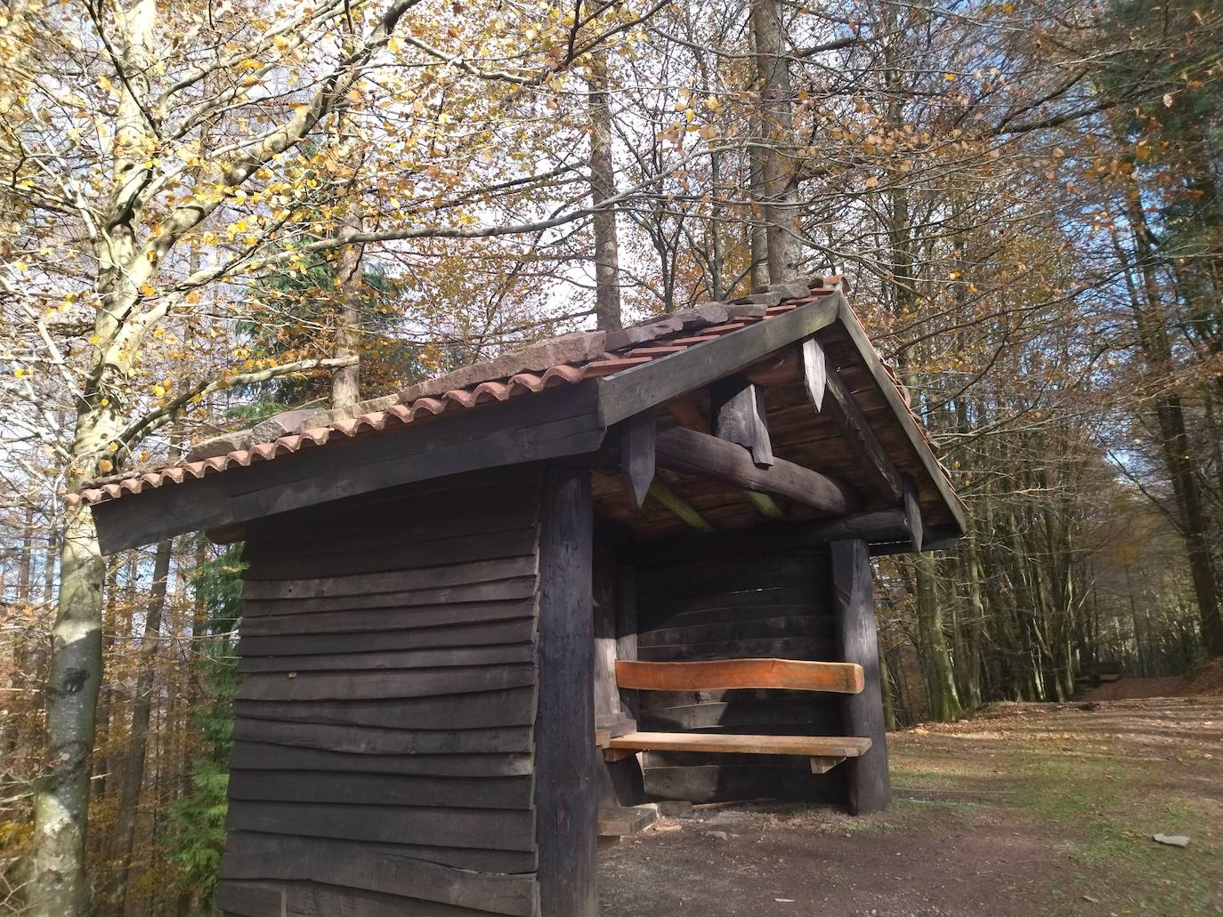 Fotos: Urdelar, una cima diferente