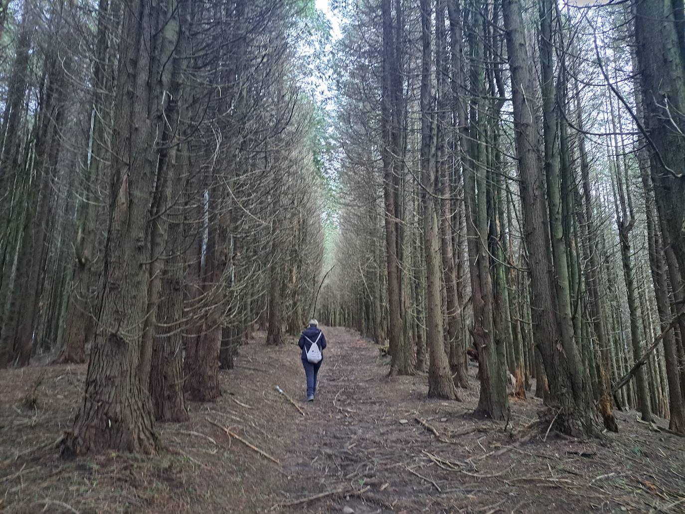 Fotos: Urdelar, una cima diferente