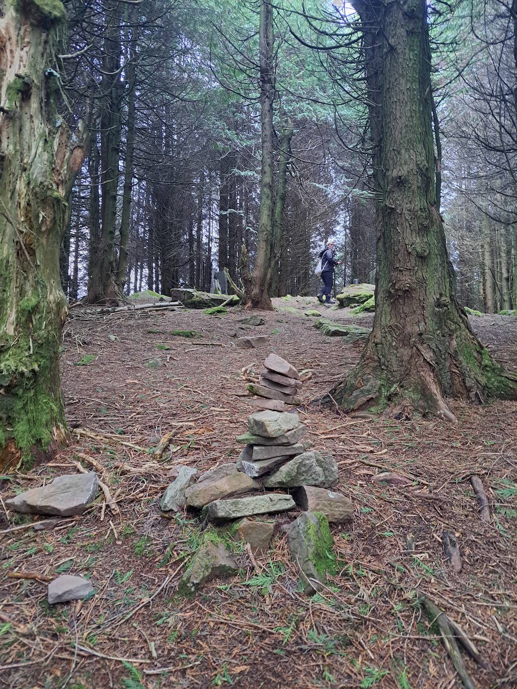 Fotos: Urdelar, una cima diferente