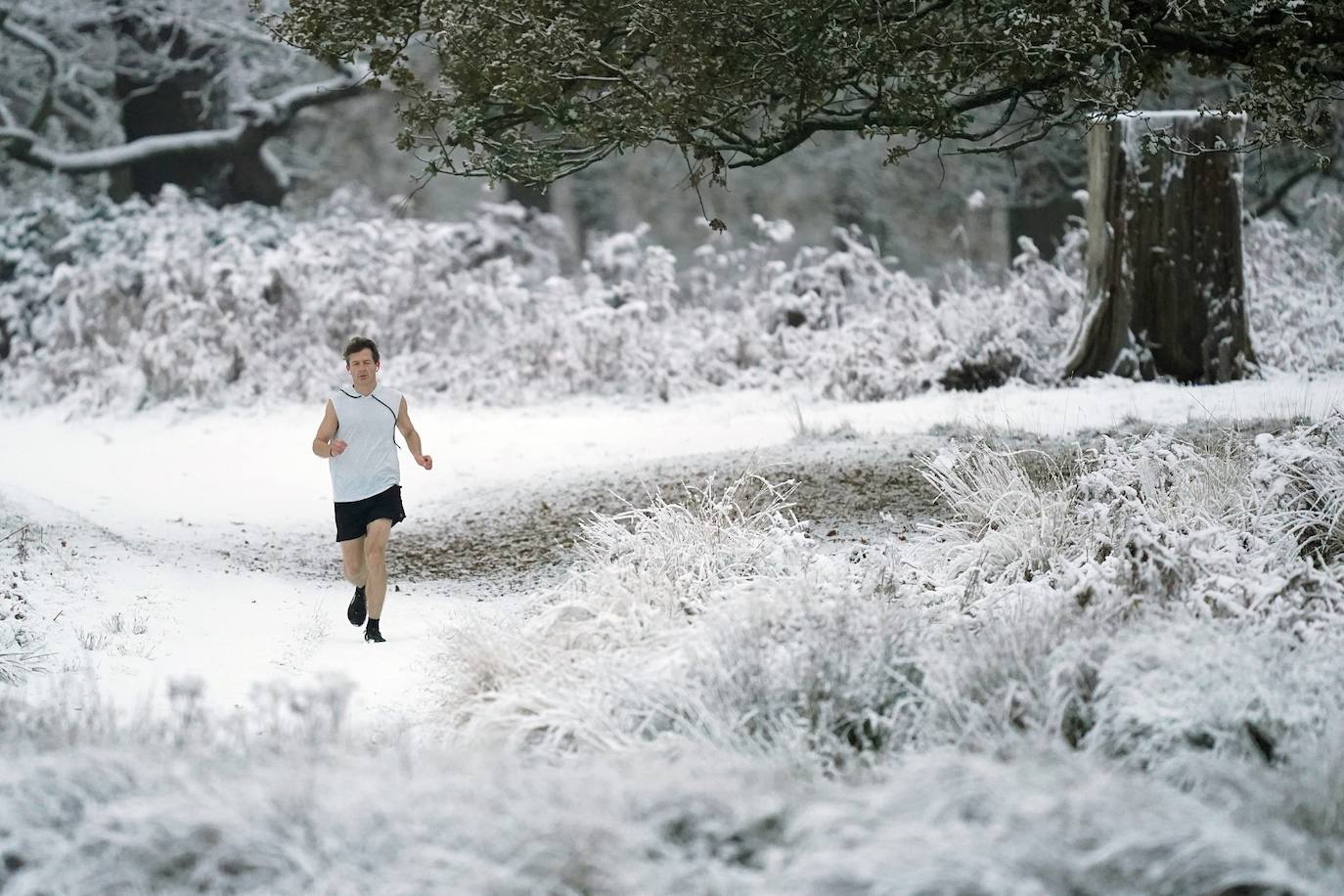 Fotos: Espectacular nevada en Londres