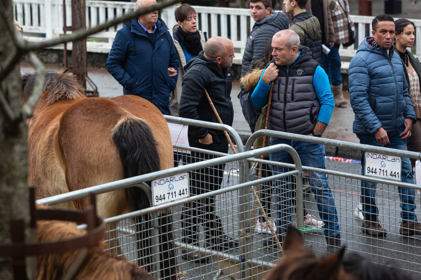 Fotos: La feria de Santa Lucía vuelve a brillar