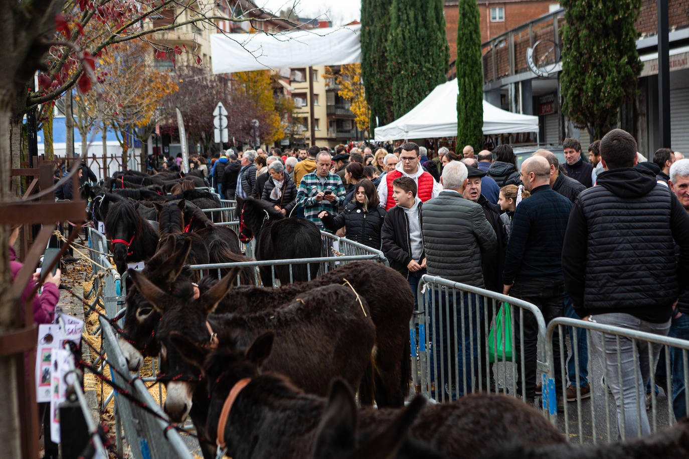 Fotos: La feria de Santa Lucía vuelve a brillar