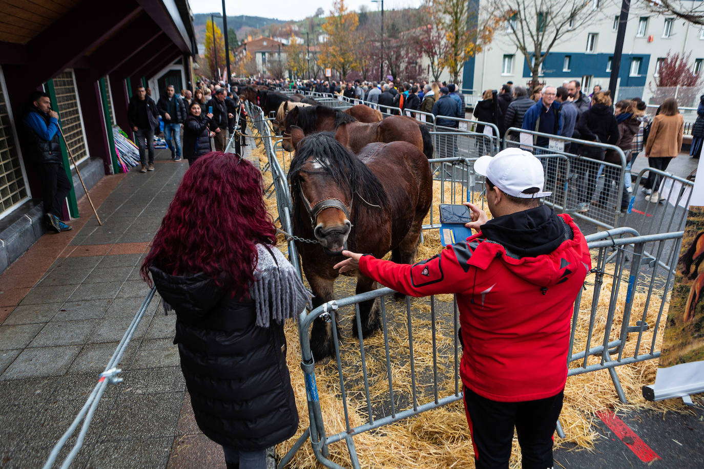 Fotos: La feria de Santa Lucía vuelve a brillar