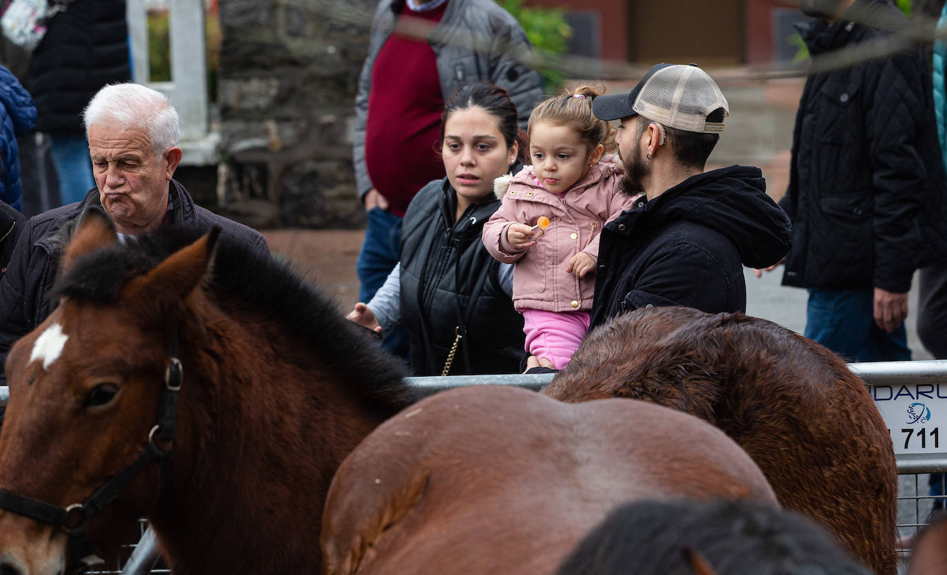 Fotos: La feria de Santa Lucía vuelve a brillar