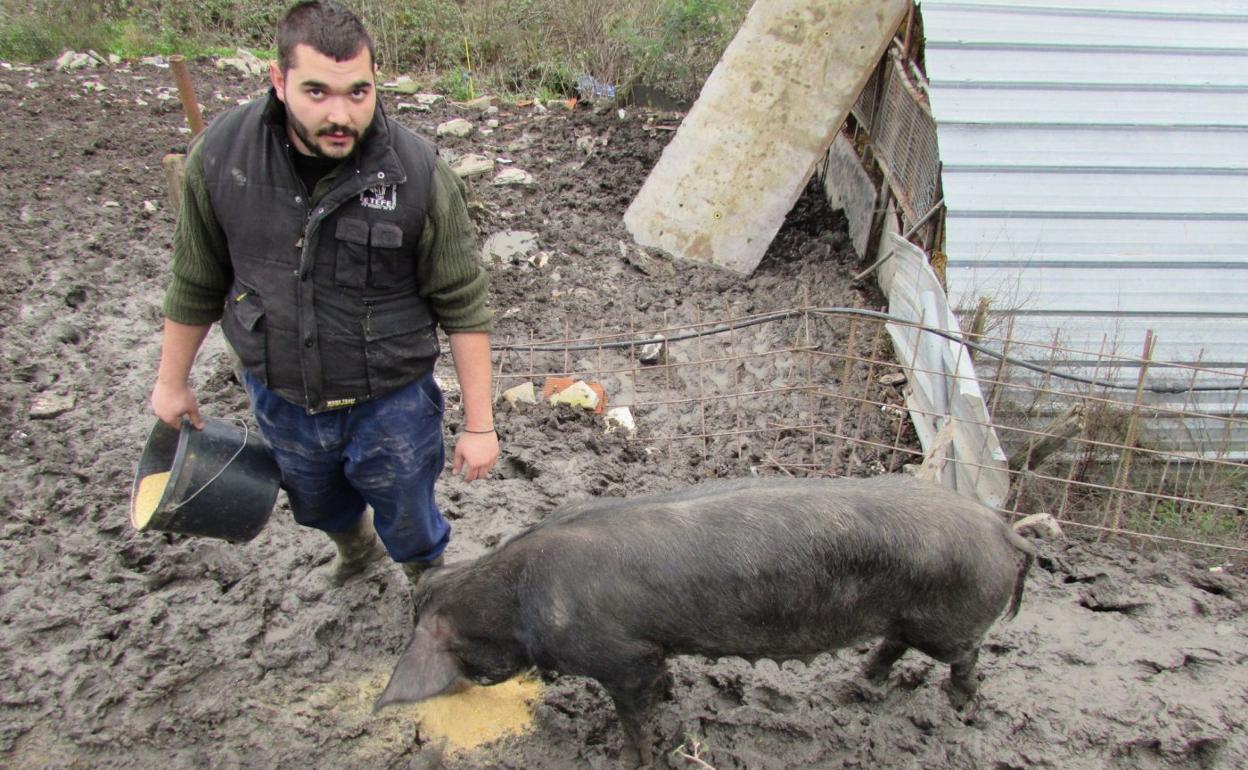 Ibai Alberdi baserritarra Txerrinsky txerramari jaten ematen. 2016. urtetik Santamasetako txerria Zaloña Aurrekotik ekarri dute. 
