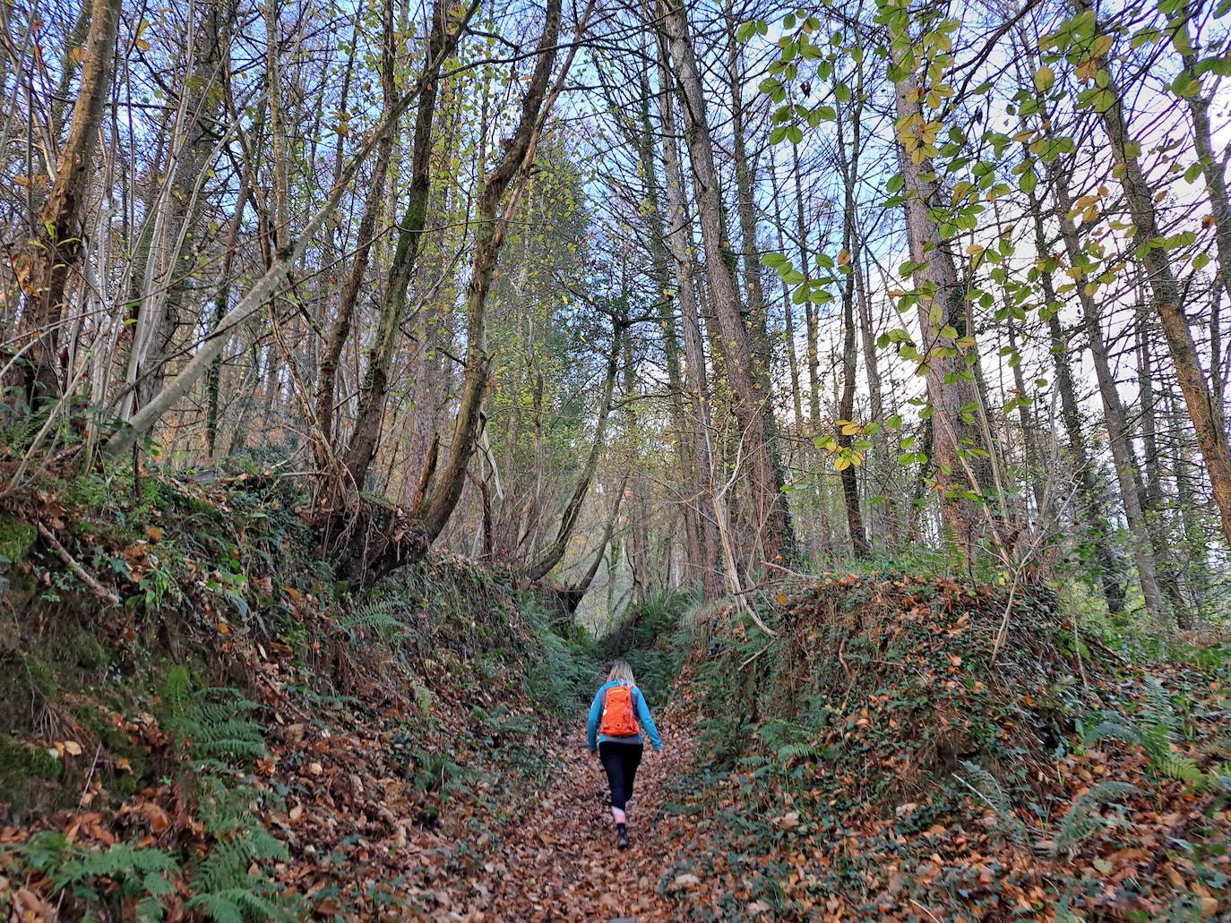 Fotos: Disfruta con las ascensión a Murgil