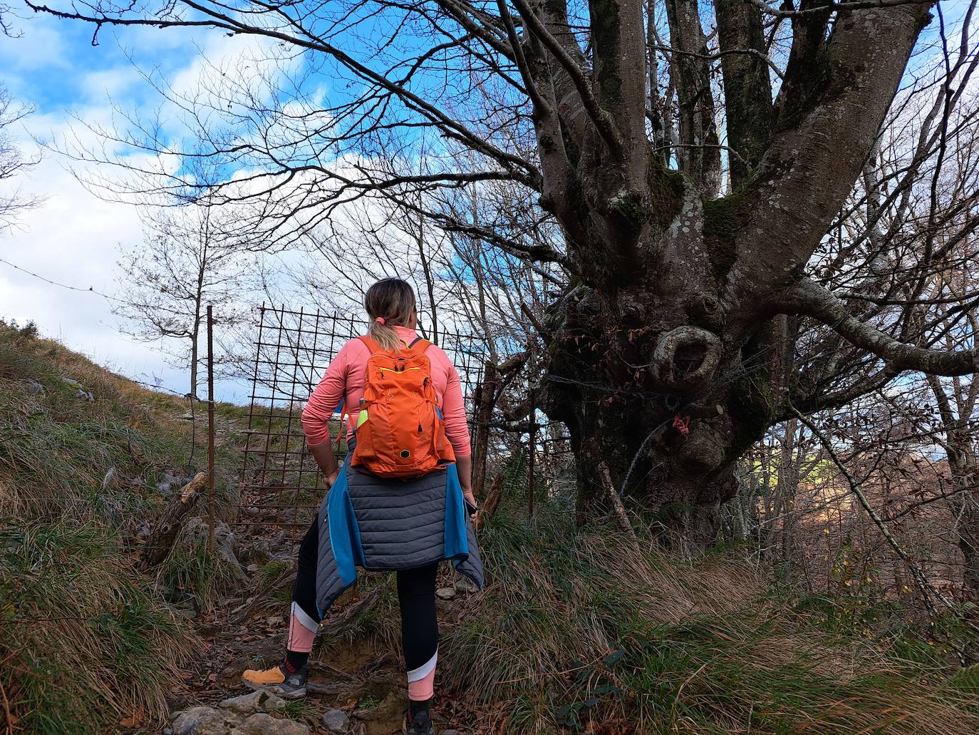 Fotos: Disfruta con las ascensión a Murgil