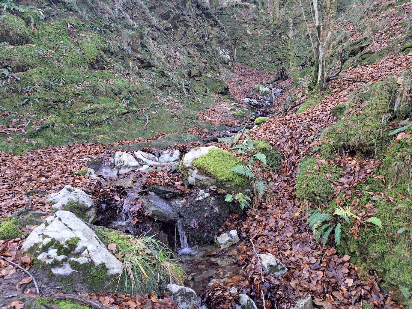 Fotos: Disfruta con las ascensión a Murgil