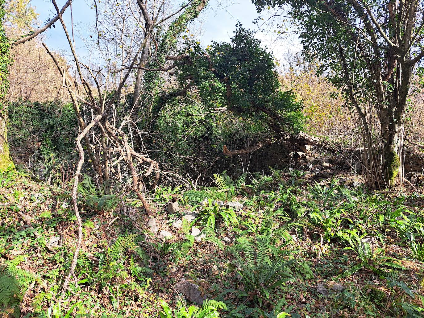 Fotos: Disfruta con las ascensión a Murgil