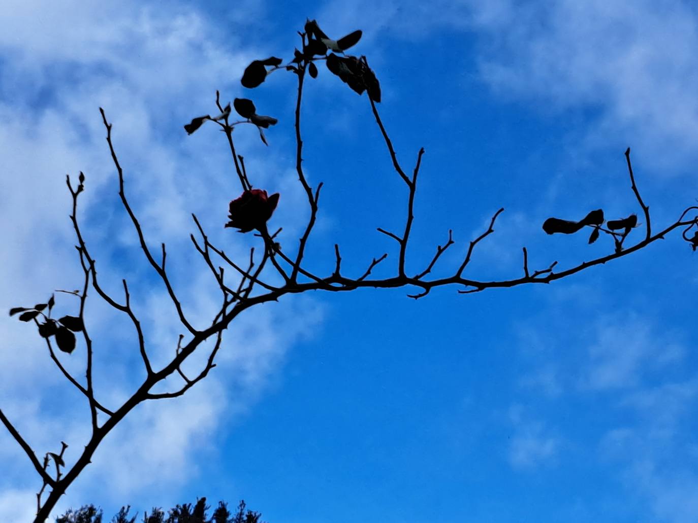 Fotos: Disfruta con las ascensión a Murgil