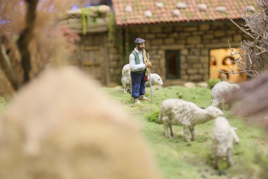 Fotos: La Diputación ya tiene su Belén