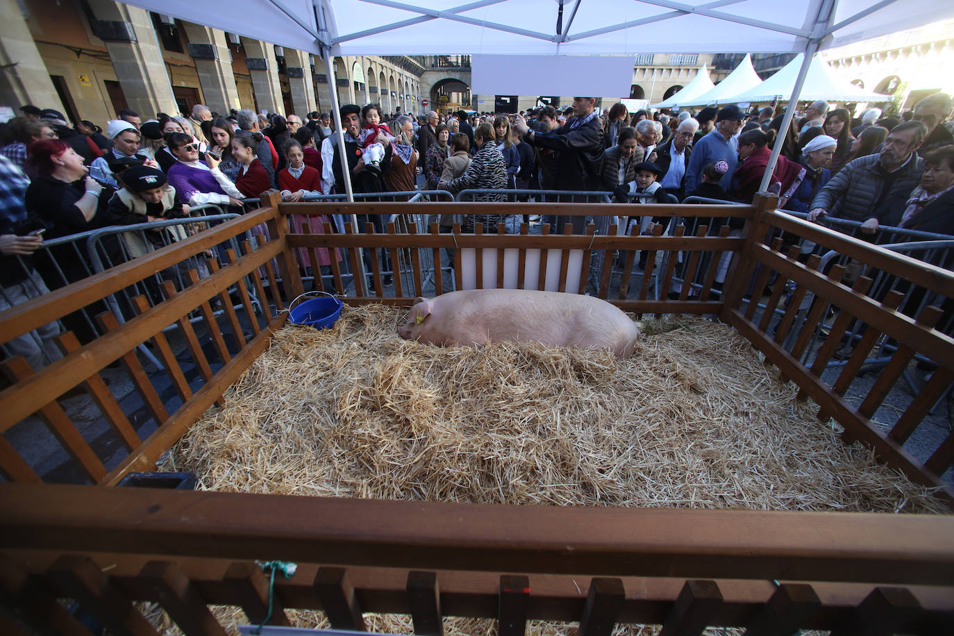 Donostia disfruta de Santo Tomás 2022