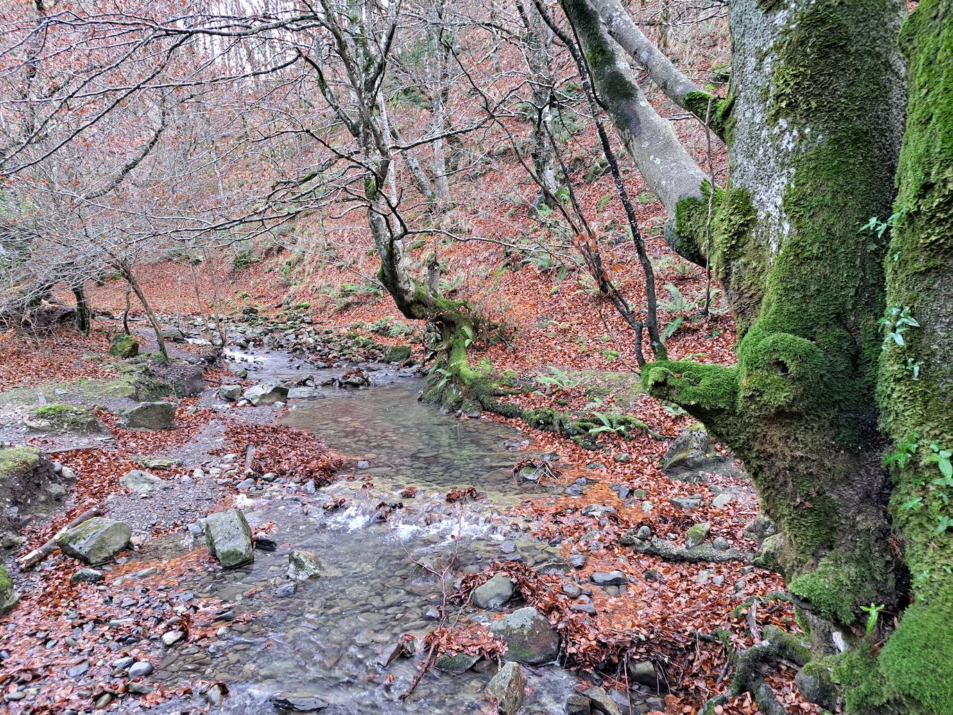 Fotos: Uidui, un bonito rincón de Aralar