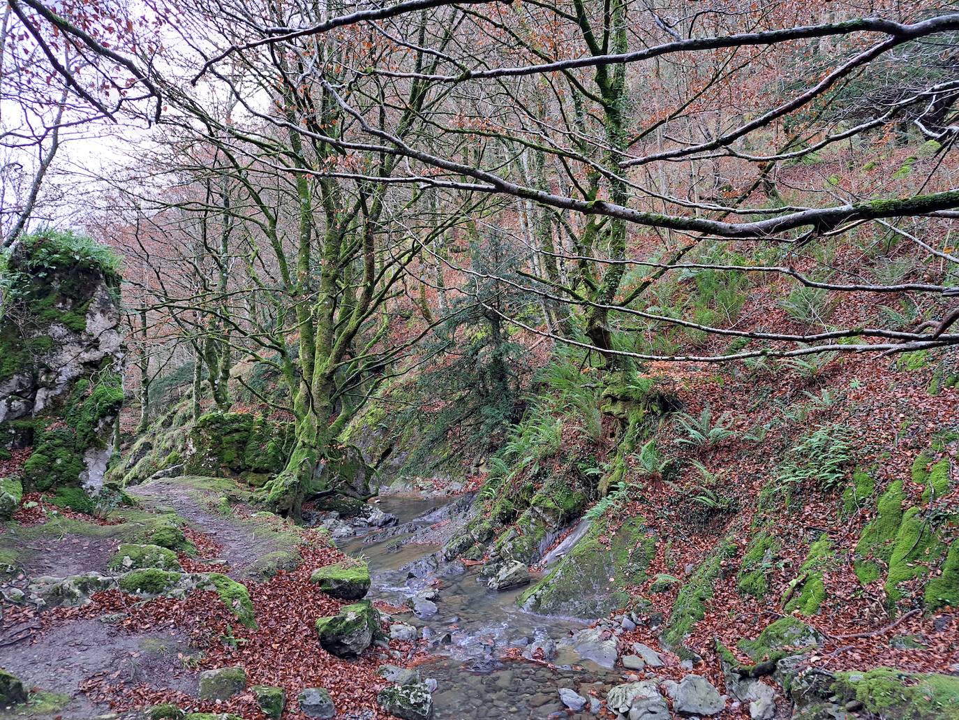 Fotos: Uidui, un bonito rincón de Aralar