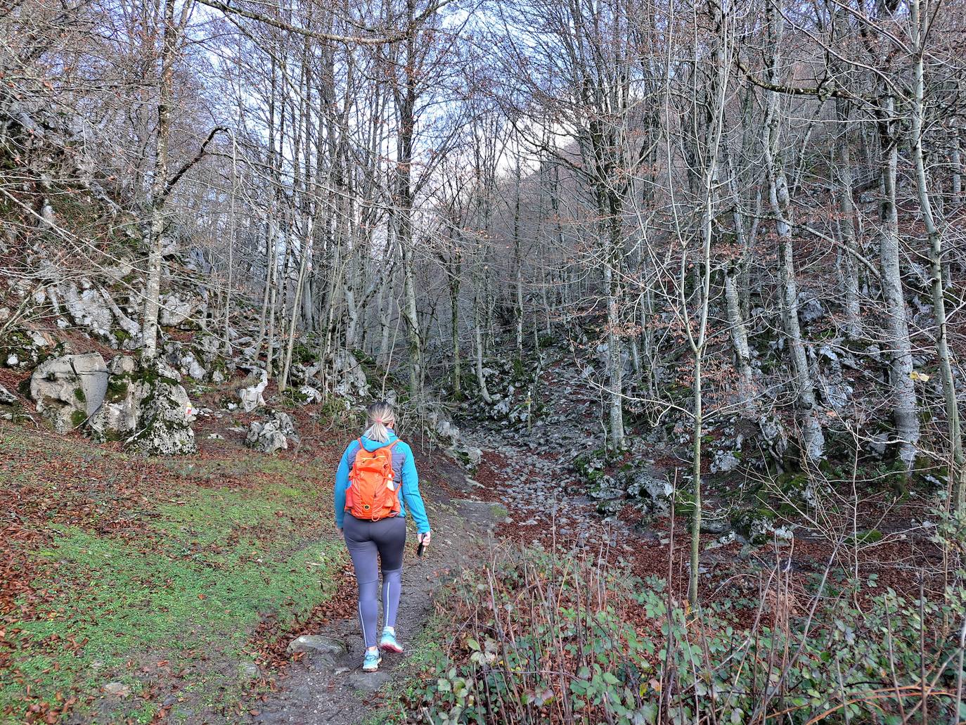 Fotos: Uidui, un bonito rincón de Aralar