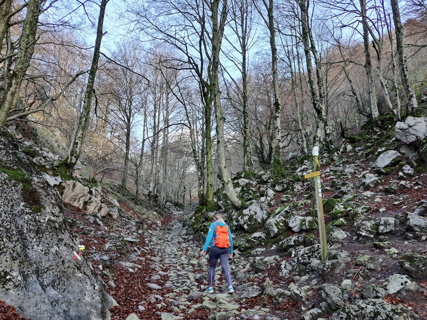 Fotos: Uidui, un bonito rincón de Aralar
