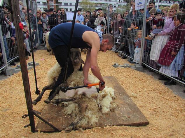 Fotos: Santamasak, en todo su esplendor