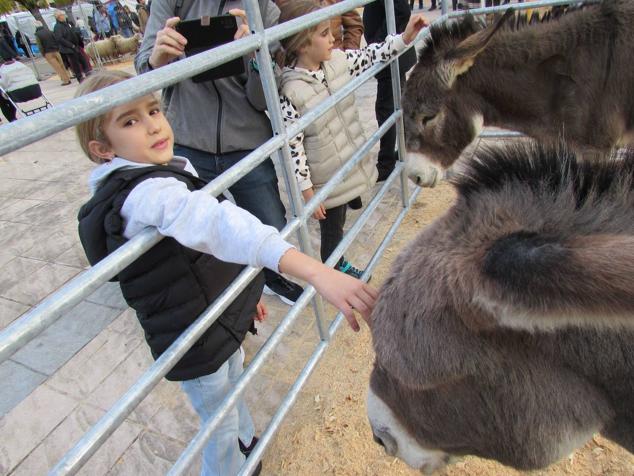 Fotos: Santamasak, en todo su esplendor