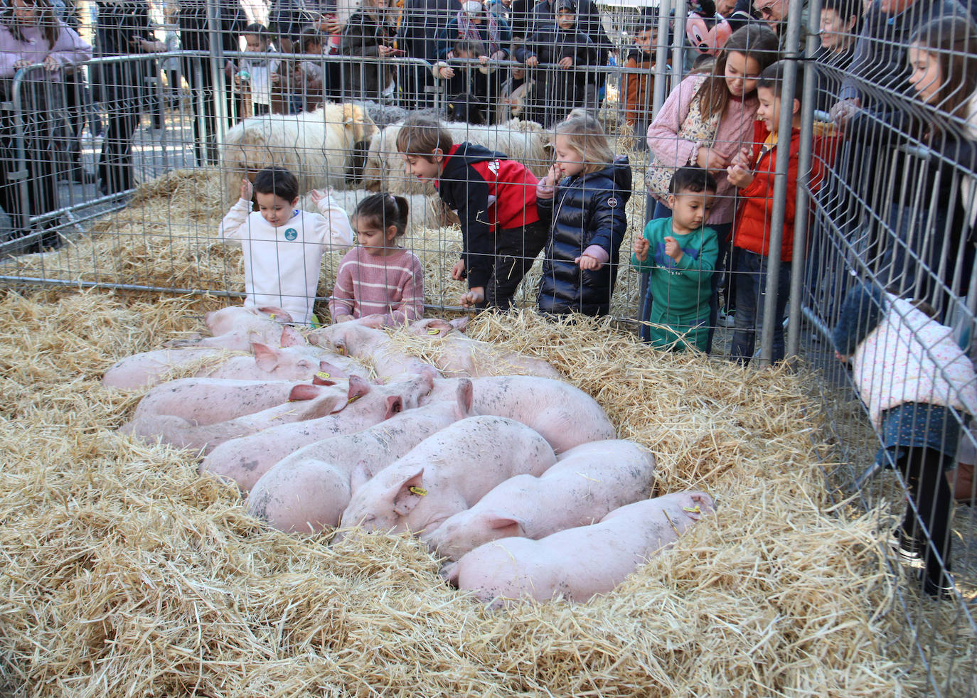 Fotos: Ambiente navideño en una feria muy especial en Ordizia