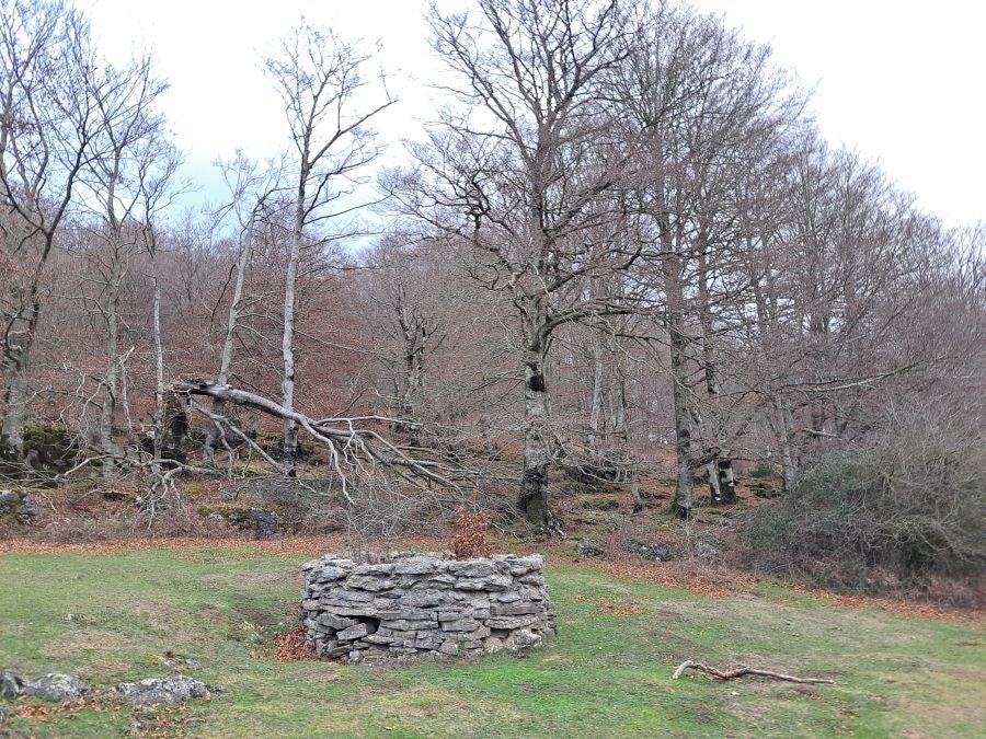 Fotos: Ruta mágica entre hayedos hacia la cima de Bargagain