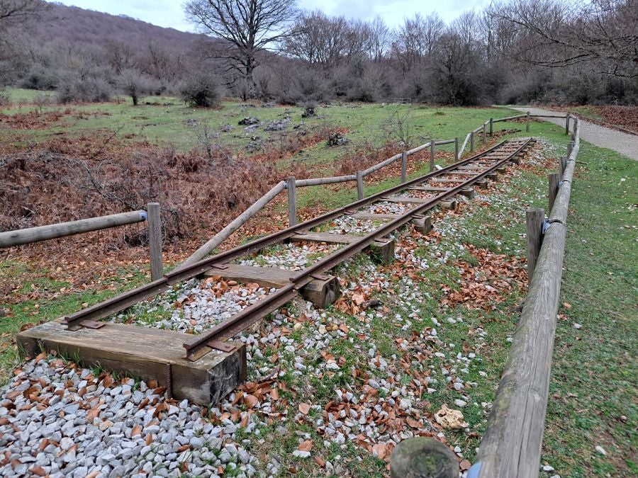 Fotos: Ruta mágica entre hayedos hacia la cima de Bargagain