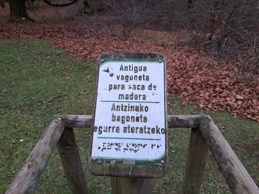 Fotos: Ruta mágica entre hayedos hacia la cima de Bargagain