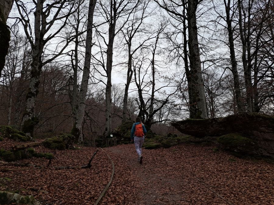 Fotos: Ruta mágica entre hayedos hacia la cima de Bargagain