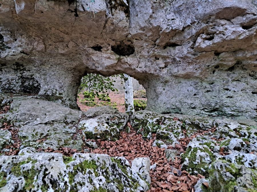 Fotos: Ruta mágica entre hayedos hacia la cima de Bargagain