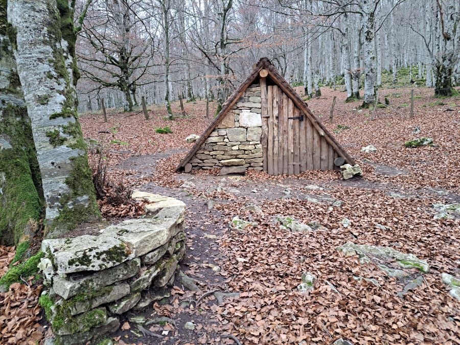 Fotos: Ruta mágica entre hayedos hacia la cima de Bargagain