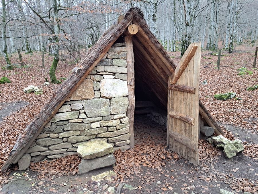 Fotos: Ruta mágica entre hayedos hacia la cima de Bargagain