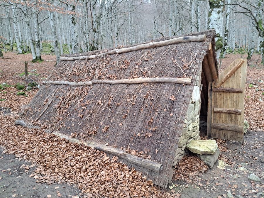 Fotos: Ruta mágica entre hayedos hacia la cima de Bargagain