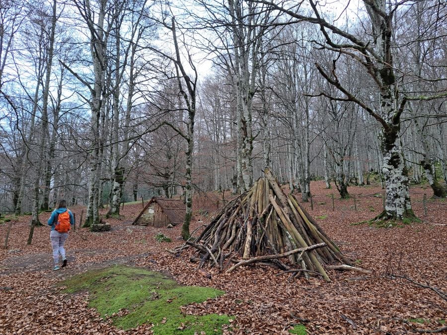 Fotos: Ruta mágica entre hayedos hacia la cima de Bargagain