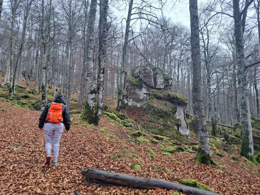 Fotos: Ruta mágica entre hayedos hacia la cima de Bargagain