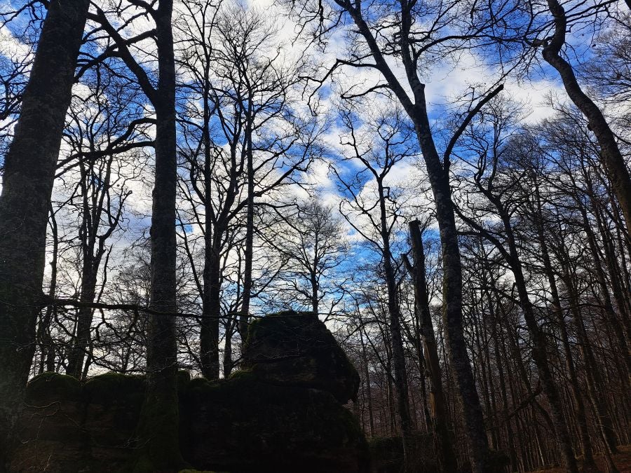 Fotos: Ruta mágica entre hayedos hacia la cima de Bargagain