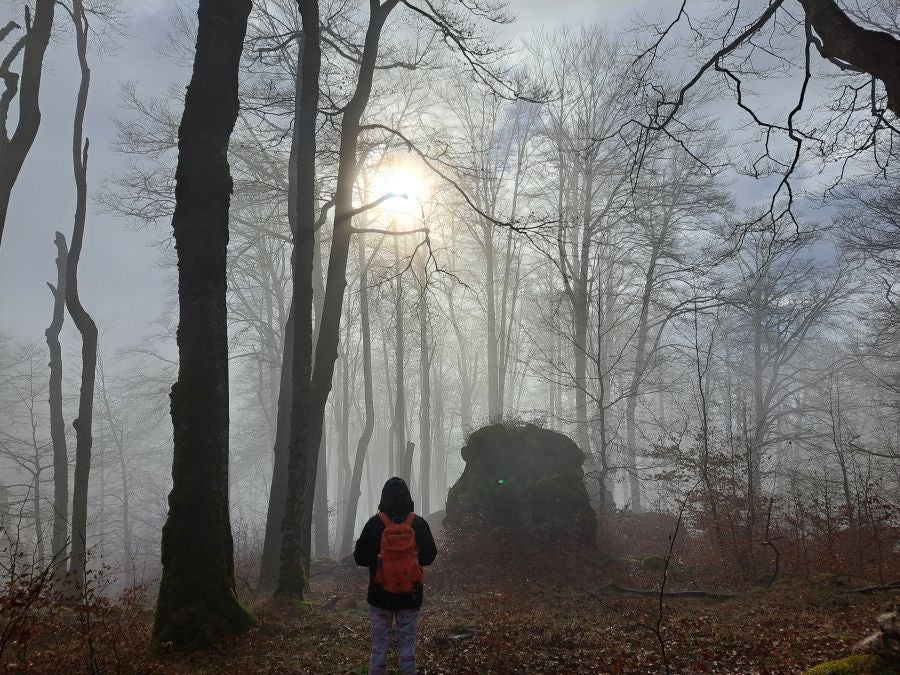 Fotos: Ruta mágica entre hayedos hacia la cima de Bargagain