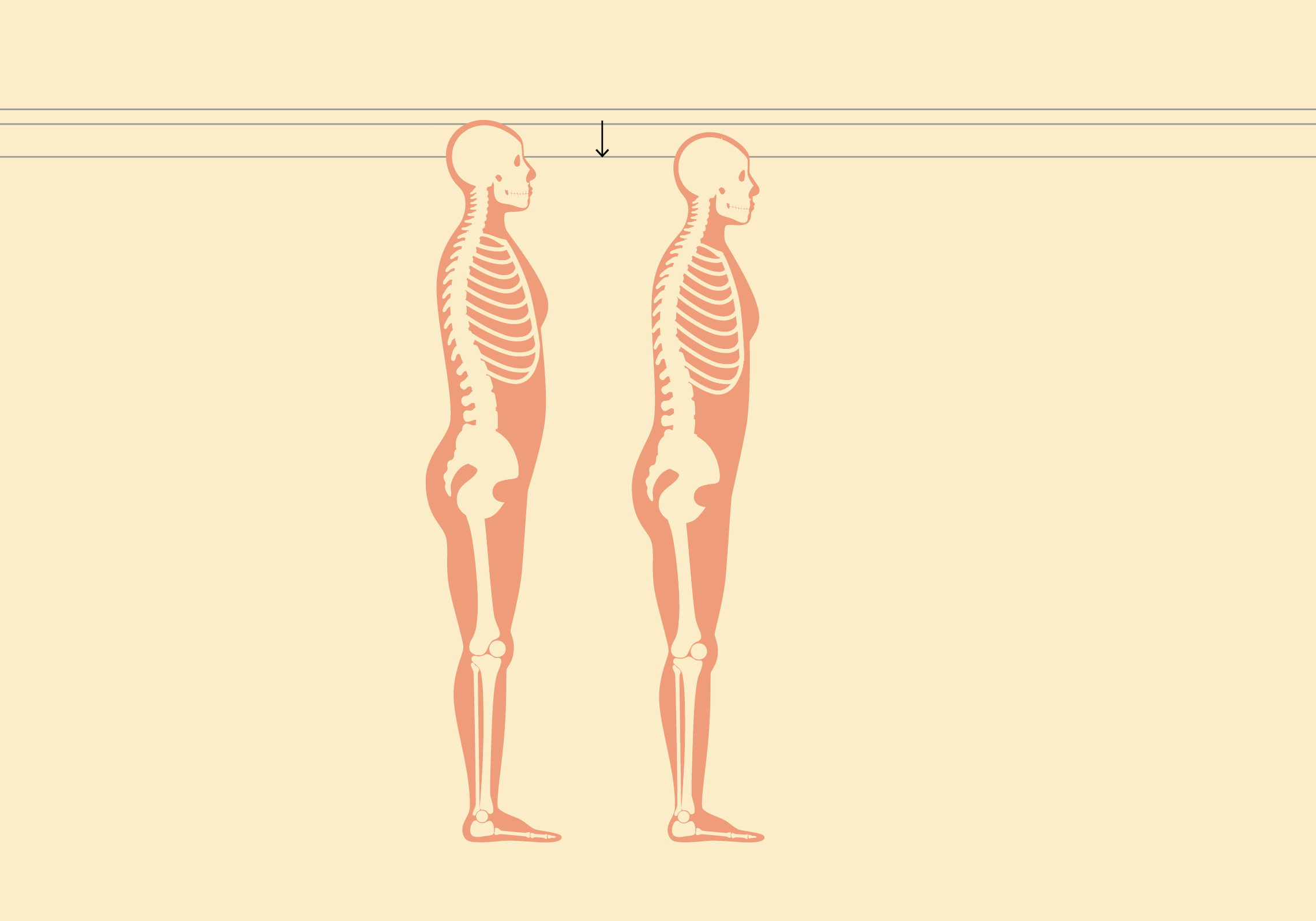 Scroll Story imagen 4