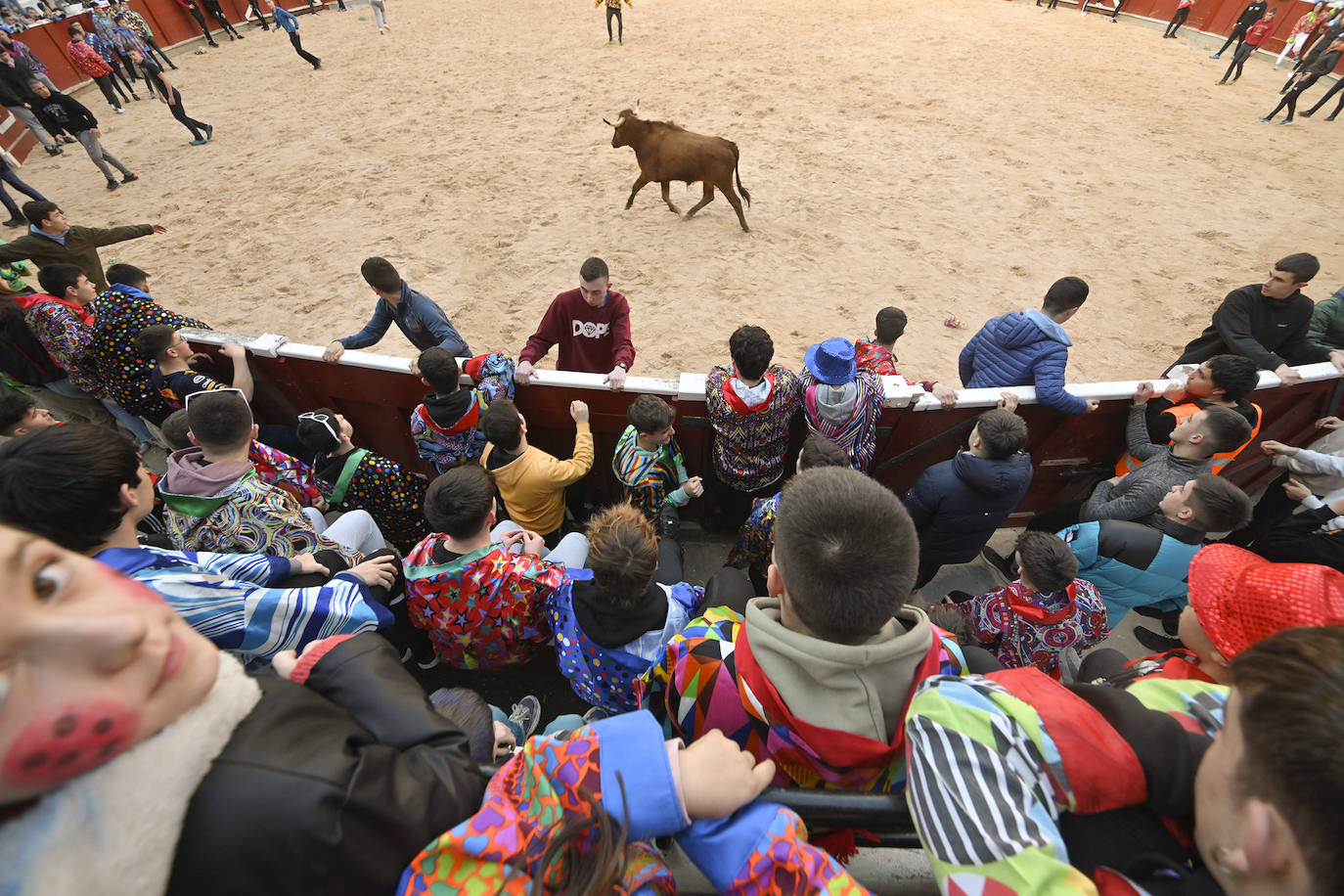 Viernes Flaco en Tolosa