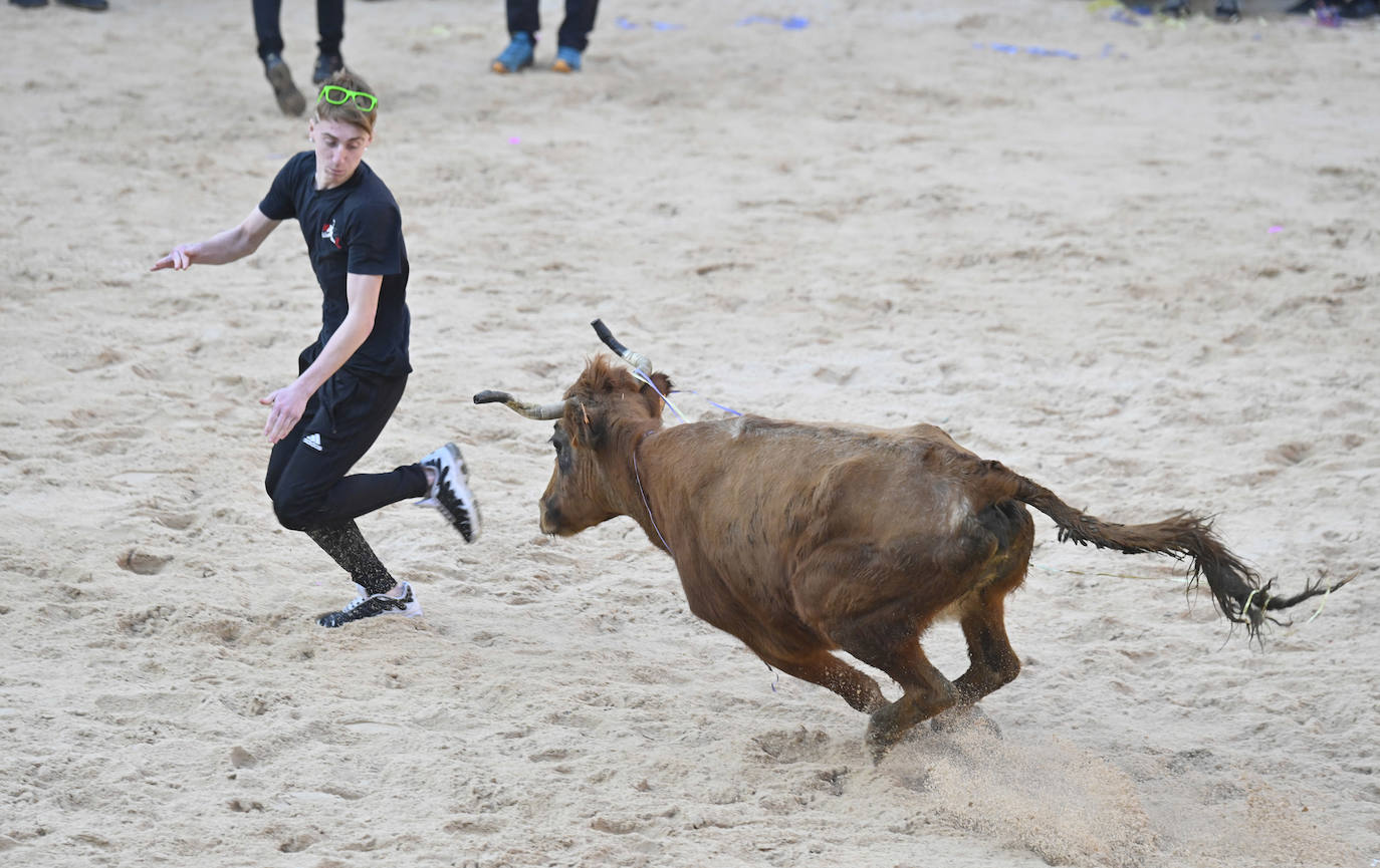 Viernes Flaco en Tolosa