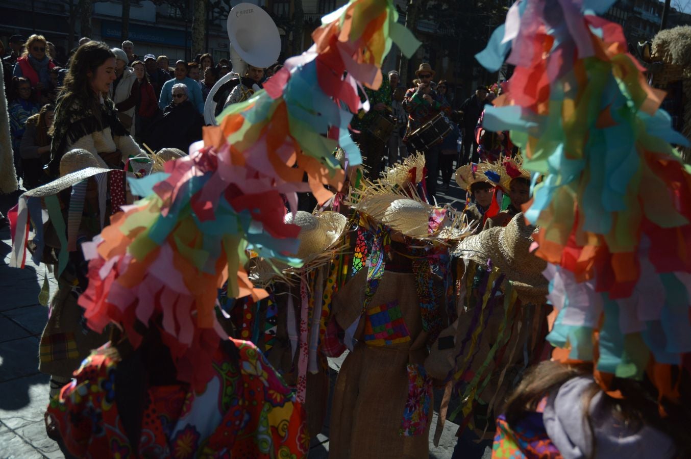 Colorido y soleado Sábado Regular en Tolosa