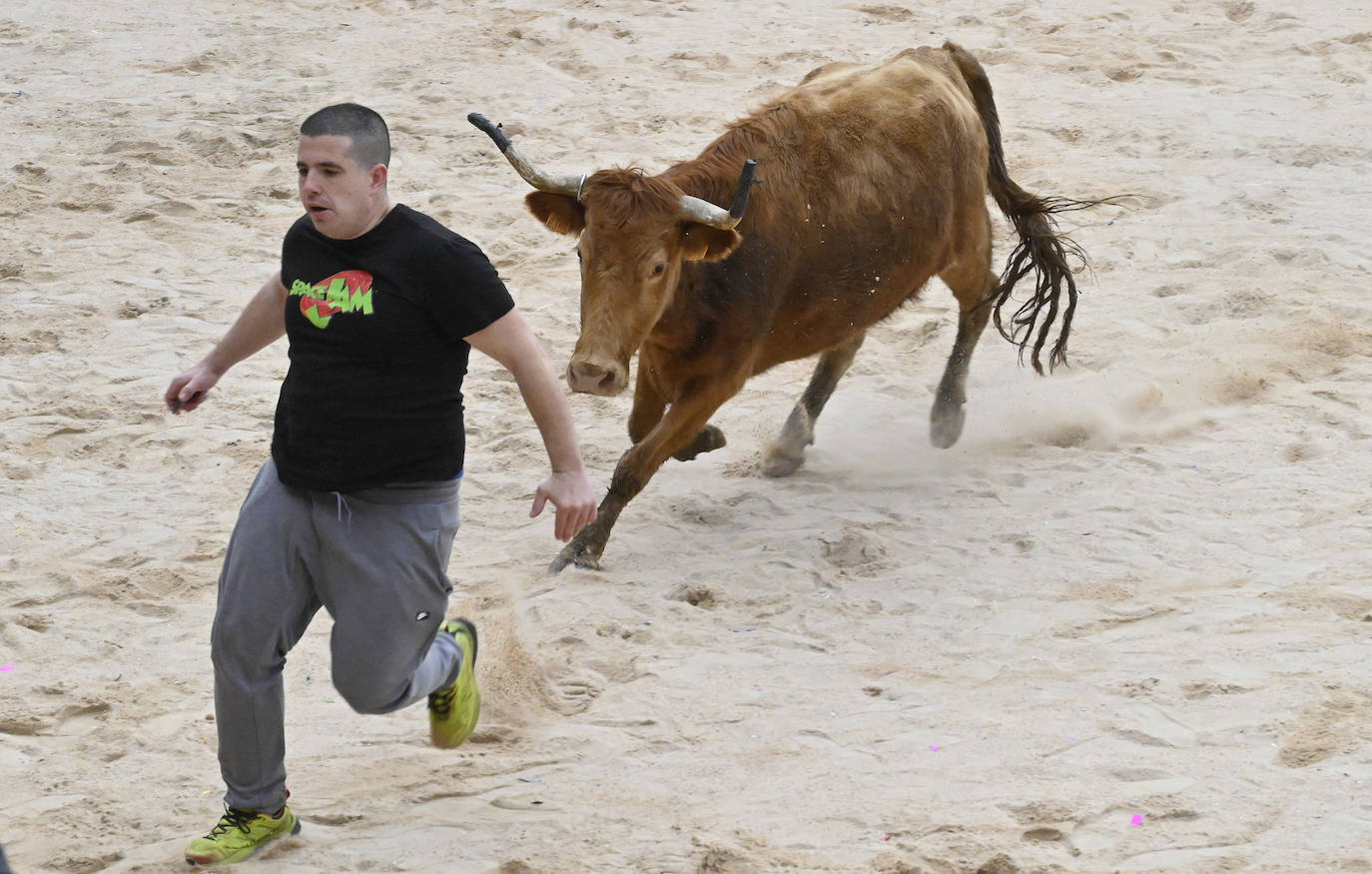 Asteartita pone el broche final a los carnavales de Tolosa