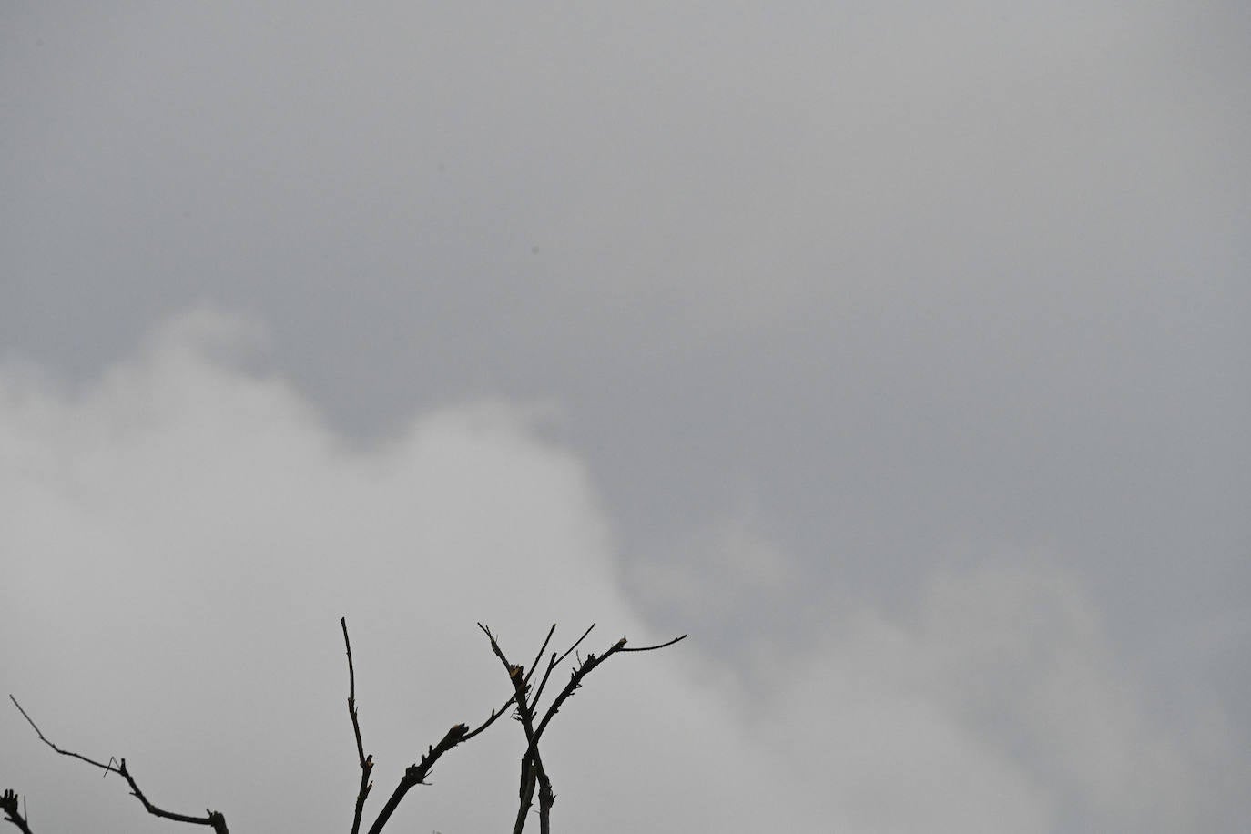La lluvia no quiere dejar escapar febrero