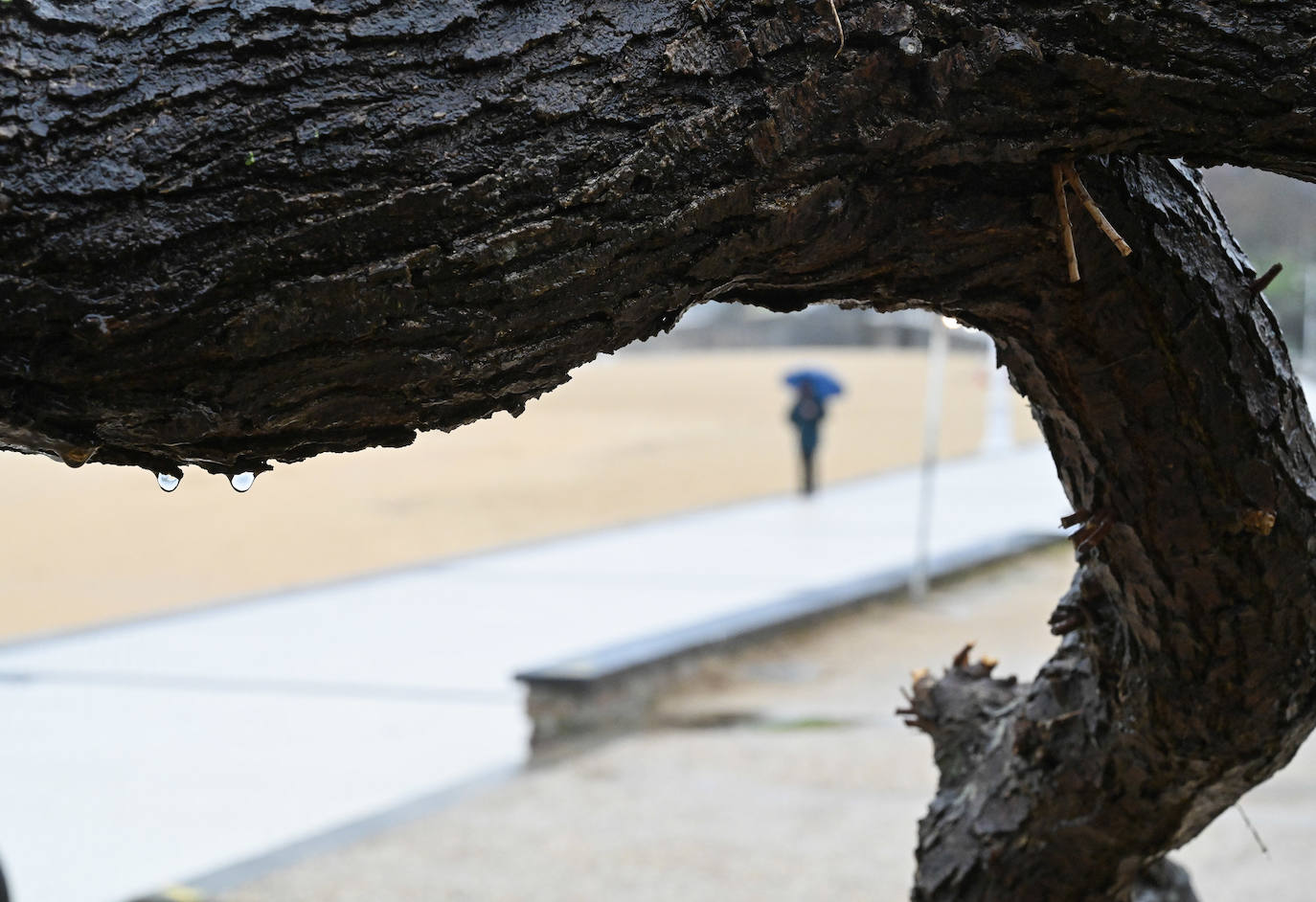 La lluvia no quiere dejar escapar febrero