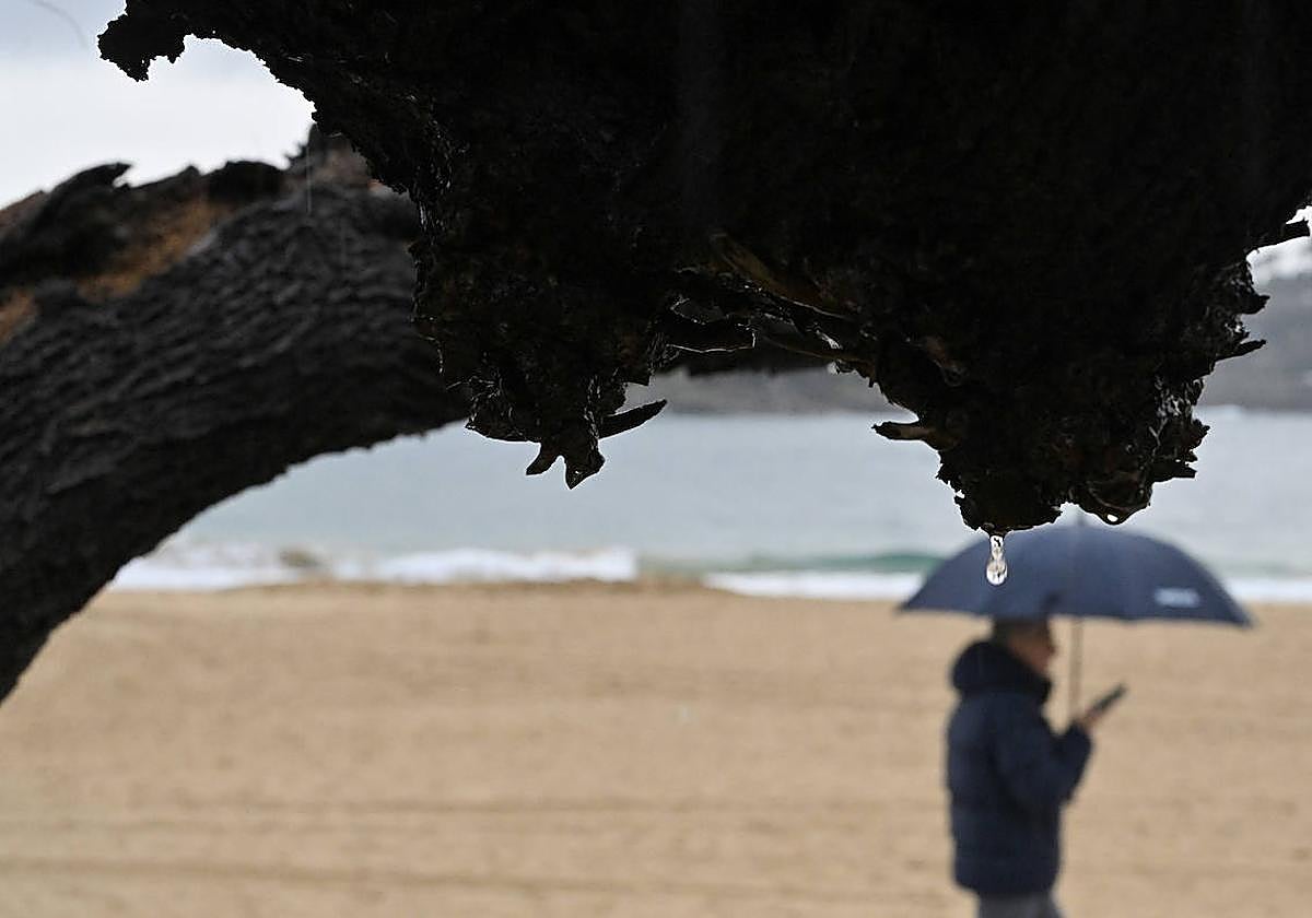 La lluvia no quiere dejar escapar febrero