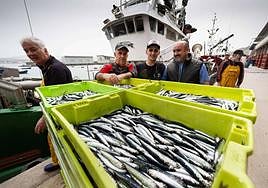 Descarga de las primeras anchoas en Hondarribia en la costera del pasado año.