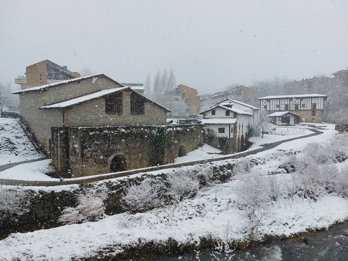 Nieve en Gipuzkoa: El manto blanco se extiende por el territorio