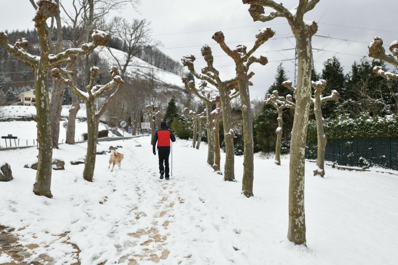 Un hombre camina junto a su perro.