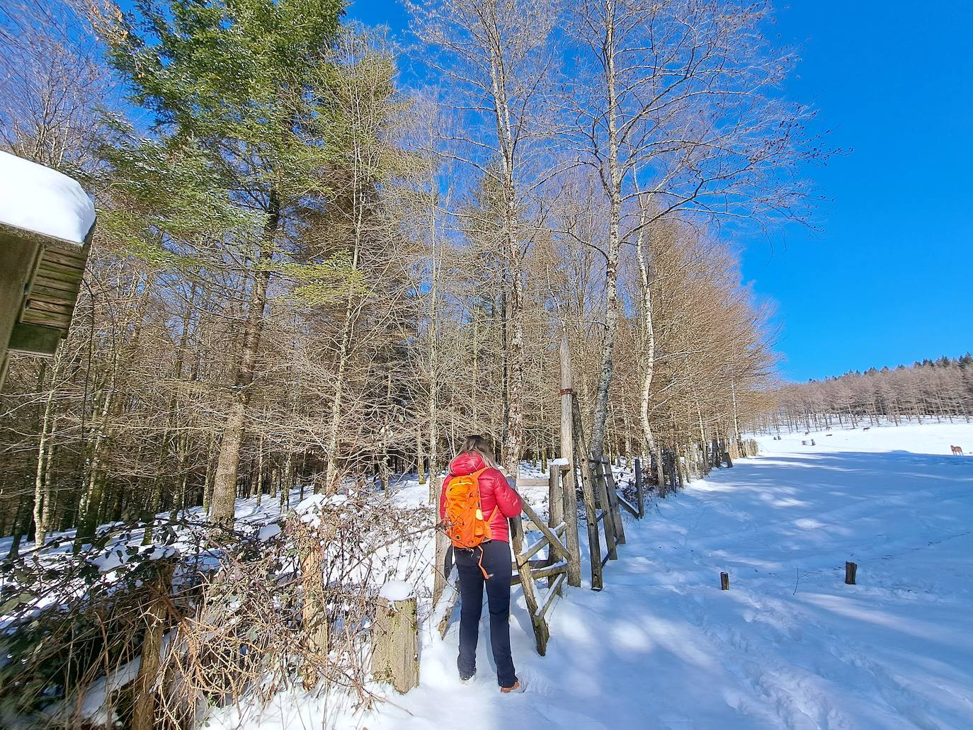 La cima de los mil secretos
